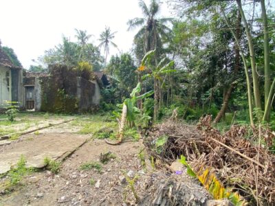 Di Jual Tanah Murah Dekat Resto Omah Tobong Jalan Godean Km 8 Sleman Yogya