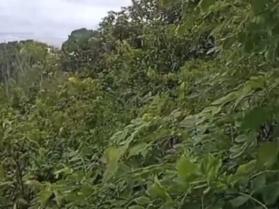 Di Jual Tanah View Laut Parangtritis Gunung Kidul Jogjakarta