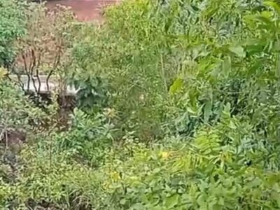 Di Jual Tanah View Laut Parangtritis Gunung Kidul Jogjakarta