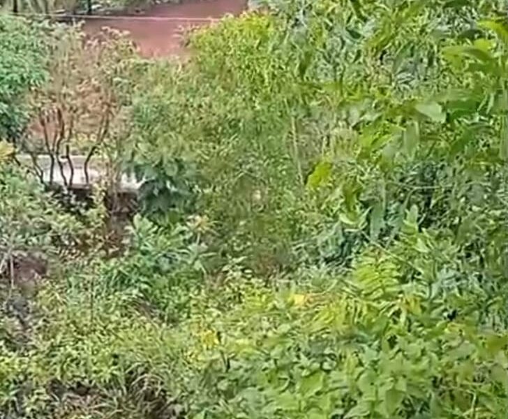 Di Jual Tanah View Laut Parangtritis Gunung Kidul Jogjakarta