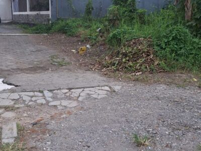 Di Jual Tanah Sangat Prospek Di Nologaten Dekat Ambarukmo Plaza Sleman Jogjakarta