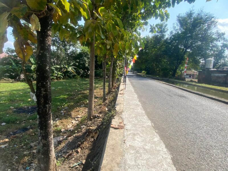 Di Jual Murah Tanah Dekat Kampus UGM Jogjakarta