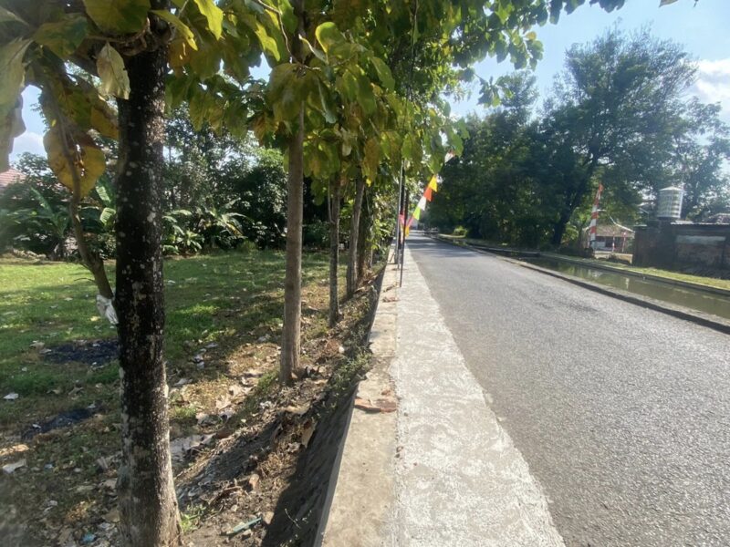 Di Jual Murah Tanah Dekat Kampus UGM Jogjakarta