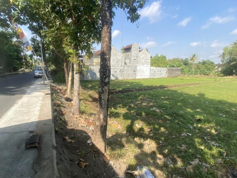 Di Jual Murah Tanah Dekat Kampus UGM Jogjakarta