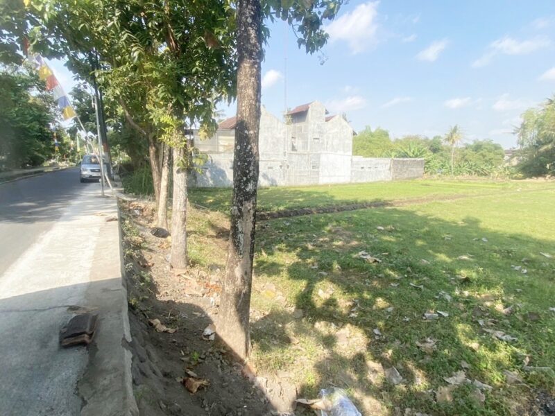 Di Jual Murah Tanah Dekat Kampus UGM Jogjakarta