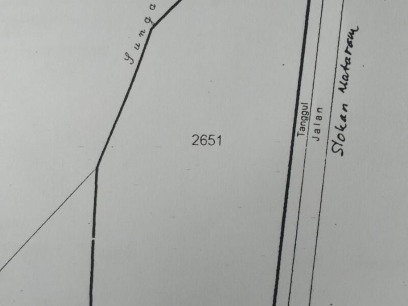 Di Jual Murah Tanah Dekat Kampus UGM Jogjakarta