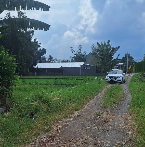 Di Jual Super Murah Tanah view Sawah di CondongCatur Utara JIH Yogya