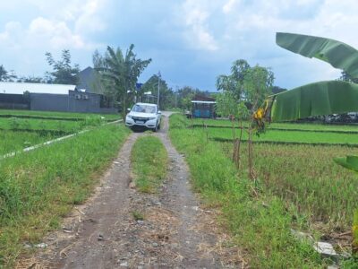 Di Jual Super Murah Tanah view Sawah di CondongCatur Utara JIH Yogya