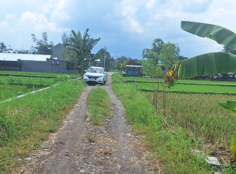 Di Jual Super Murah Tanah view Sawah di CondongCatur Utara JIH Yogya
