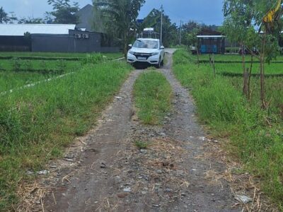 Di Jual Super Murah Tanah view Sawah di CondongCatur Utara JIH Yogya