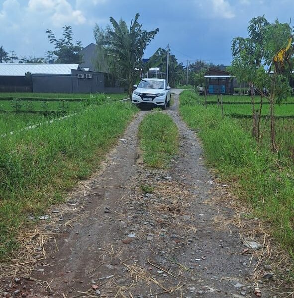 Di Jual Super Murah Tanah view Sawah di CondongCatur Utara JIH Yogya