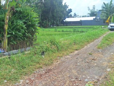 Di Jual Super Murah Tanah view Sawah di CondongCatur Utara JIH Yogya