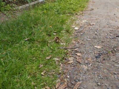 Jual Tanah Murah Lokasi di Jl Kaliurang KM 10 Barat Pasar Gentan Sardonoharjo Ngaglik Sleman , Yogyakarta