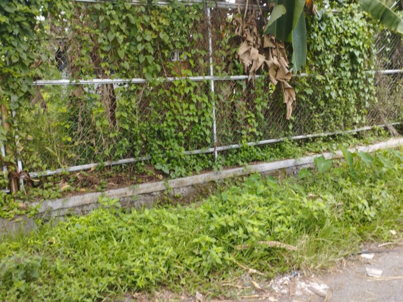 Jual Tanah Murah Lokasi di Jl Kaliurang KM 10 Barat Pasar Gentan Sardonoharjo Ngaglik Sleman , Yogyakarta