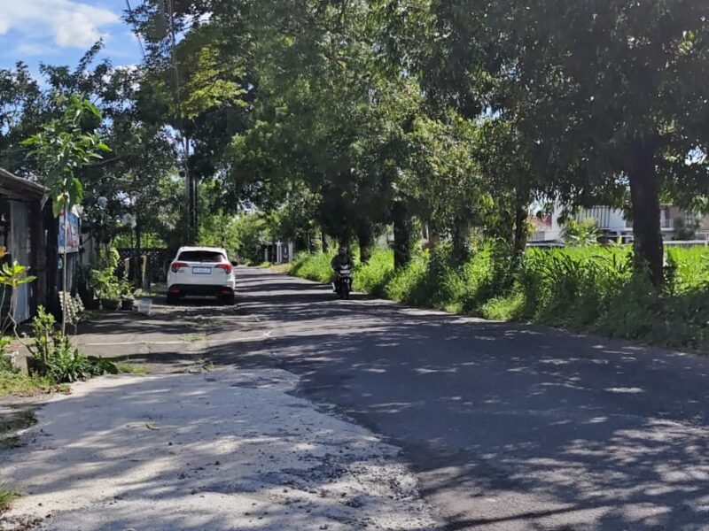 Di Jual Tanah Pekarangan Lokasi JL Kaliurang KM 10 Sardonoharjo Ngaglik Sleman Jogjakarta