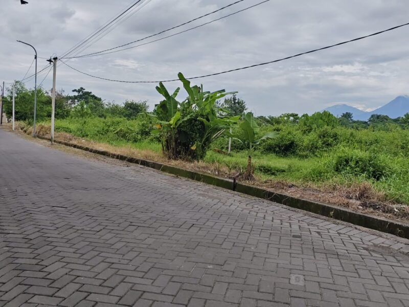 Di Jual Tanah Pekarangan Lokasi Dekat Kampus UTY Sinduadi Jetis Mlati Sleman , Jogjakarta