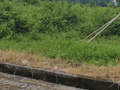 Di Jual Tanah Pekarangan Lokasi Dekat Kampus UTY Sinduadi Jetis Mlati Sleman , Jogjakarta