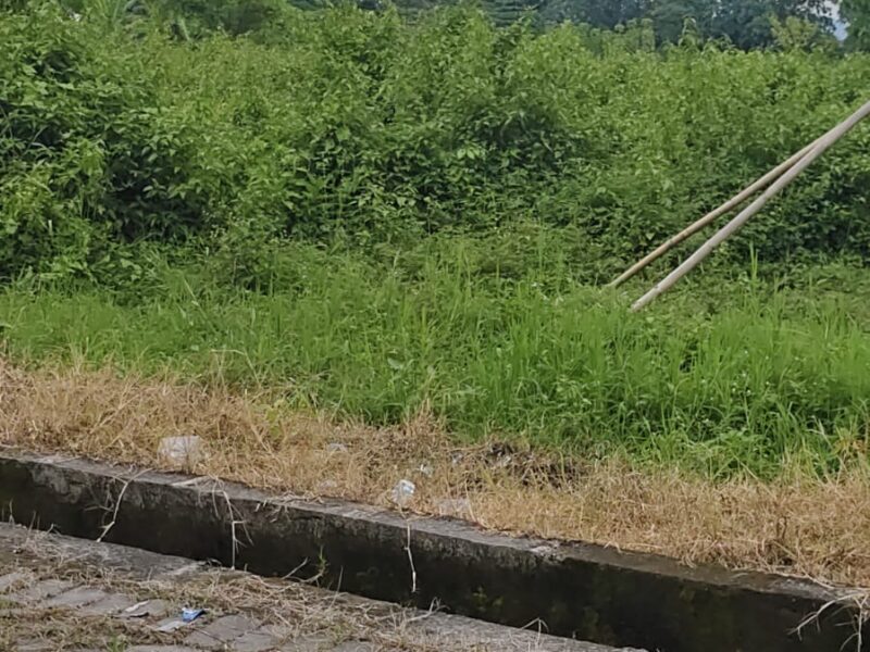 Di Jual Tanah Pekarangan Lokasi Dekat Kampus UTY Sinduadi Jetis Mlati Sleman , Jogjakarta