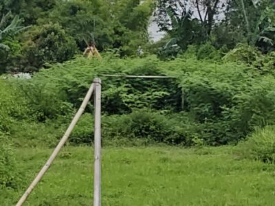 Di Jual Tanah Pekarangan Lokasi Dekat Kampus UTY Sinduadi Jetis Mlati Sleman , Jogjakarta