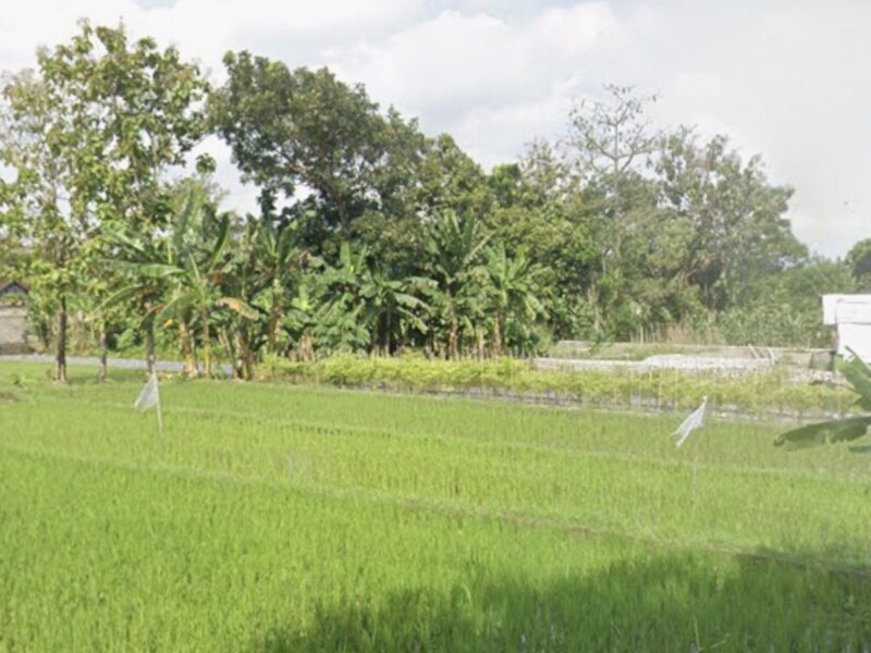 Di Jual Murah Tanah Pekarangan Lokasi Sumberadi Mlati Sleman Jogjakarta