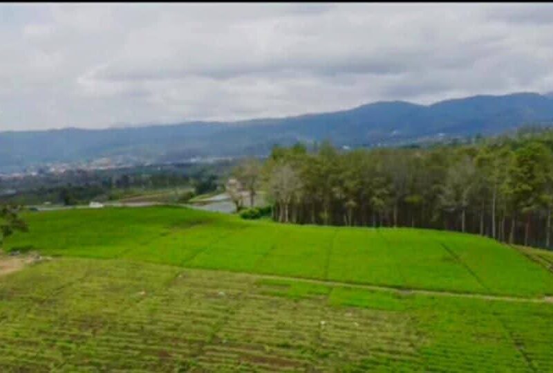 Di Jual Tanah Area Wisata Tebing Breksi & Jalur Wisata di Sambisari Prambanan Sleman Jogjakarta