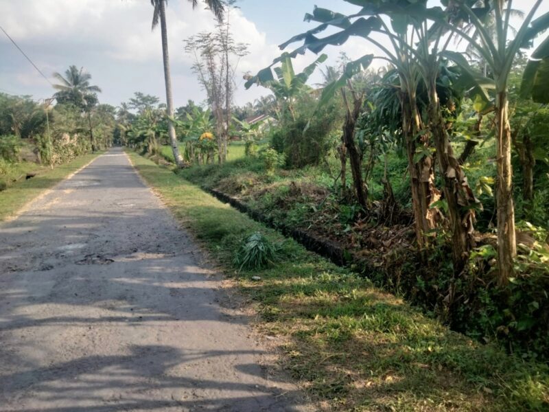 Di Jual Murah Tanah Pekarangan Lokasi : Barat Kampus UII , Harjobinangun Pakem Sleman Yogyakarta