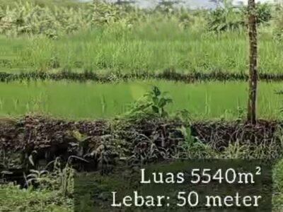 Di Jual Murah Tanah View Merapi & Persawahan Lokasi Bangunkerto Turi Sleman Jogja