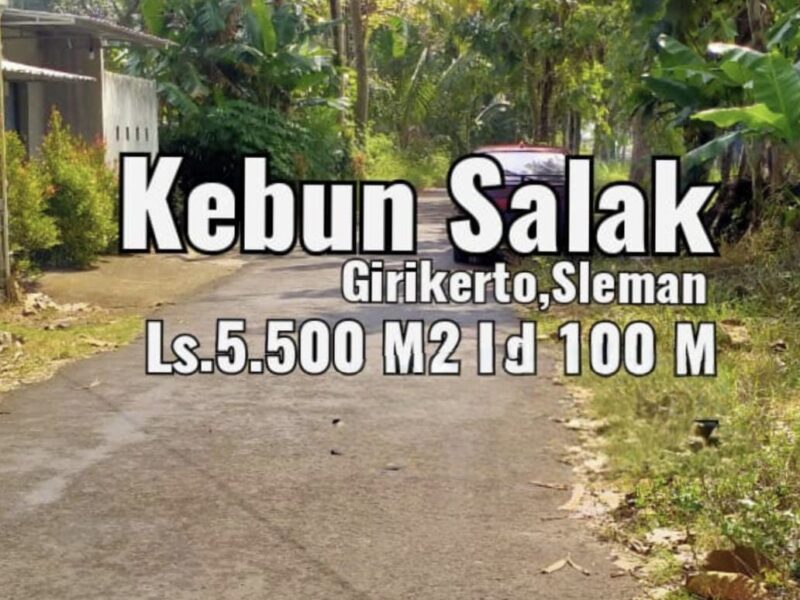 Di Jual Murah Tanah View Merapi & Persawahan Lokasi Bangunkerto Turi Sleman Jogja