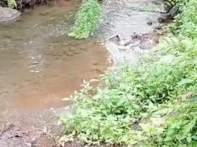 Di Jual Murah Tanah View Merapi & Persawahan Lokasi Bangunkerto Turi Sleman Jogja