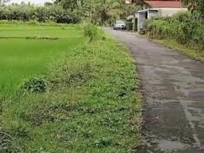 Di Jual Murah Tanah View Merapi & Persawahan Lokasi Bangunkerto Turi Sleman Jogja