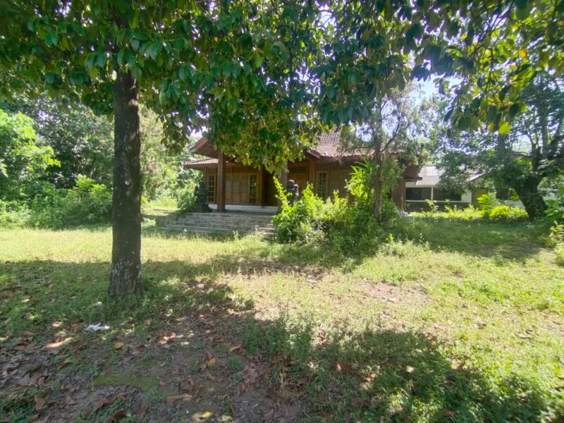 DIJUAL MURAH TANAH PEKARANGAN + RUMAH JOGLO Pinggir Jalan Utama – Hook 2 Muka Sindumartani, Ngemplak – Sleman, Yogyakarta