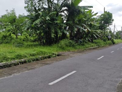 Di Jual Tanah Lokasi Istimewa Dekat Perumahan Green Hills di Area Jl Kapten Haryadi Ngentak Sinduharjo Ngaglik Sleman , Jogjakarta