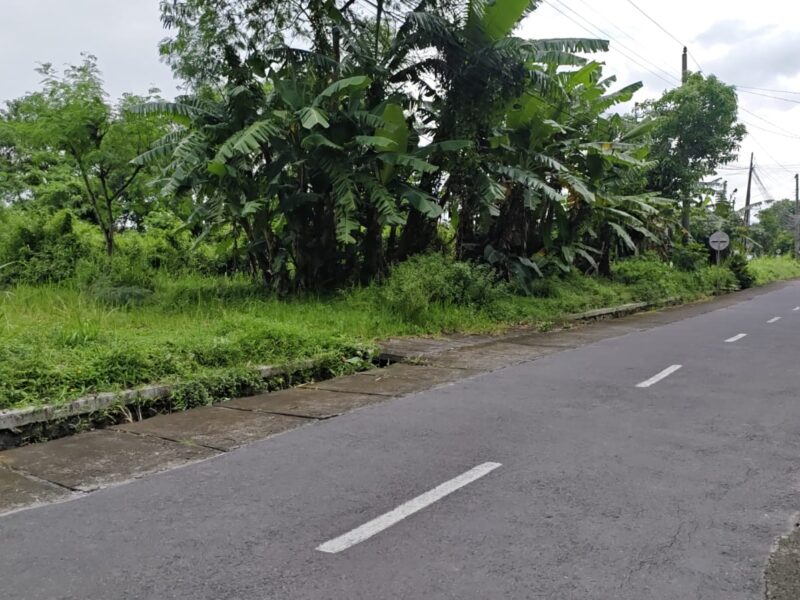 Di Jual Tanah Lokasi Istimewa Dekat Perumahan Green Hills di Area Jl Kapten Haryadi Ngentak Sinduharjo Ngaglik Sleman , Jogjakarta