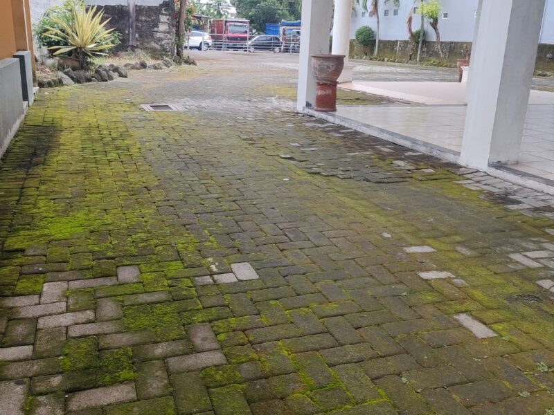 Jual Harga Tanahnya Saja Bonus Bangunan Hotel Lokasi : Jln Wates Km 3 Dekat Kadipiro , Ngestiharjo Bantul jogjakarta