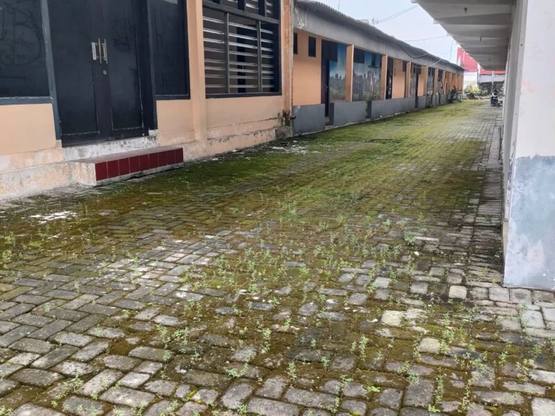 Jual Harga Tanahnya Saja Bonus Bangunan Hotel Lokasi : Jln Wates Km 3 Dekat Kadipiro , Ngestiharjo Bantul jogjakarta