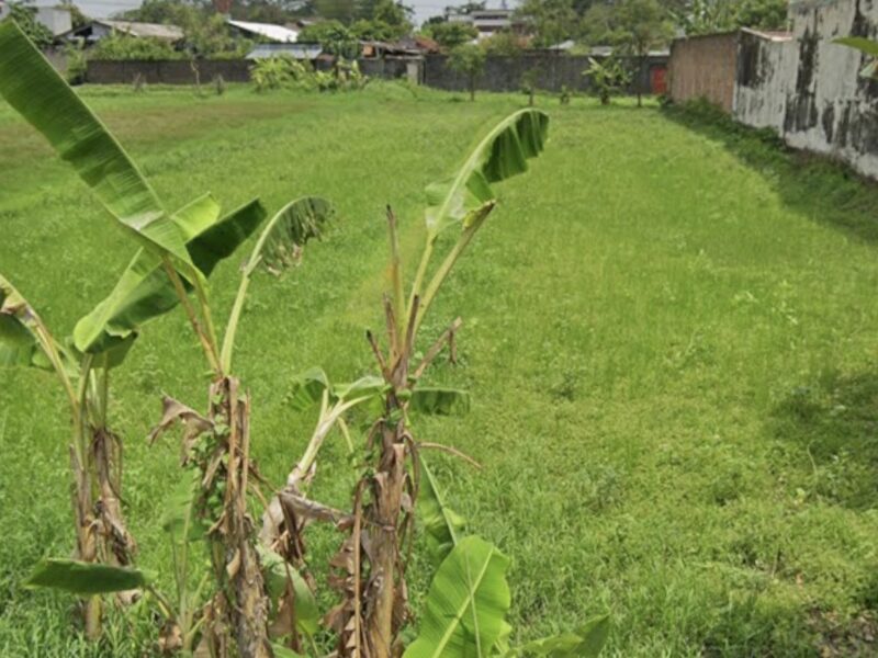 Di Jual Tanah Lokasi Bagus Di Condong Catur Depok Sleman , Jogjakart