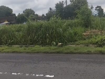 Di Jual Harga Menarik Tanah Pekarangan Lokasi Pinggir Jl Raya Selomartani Kalasan Sleman , Jogjakarta