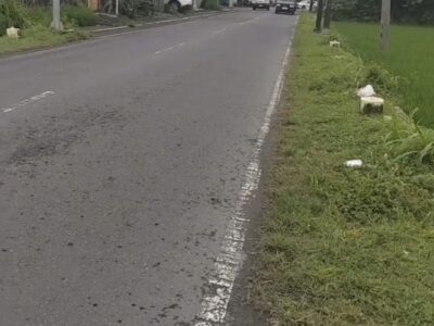 Di Jual Harga Menarik Tanah Pekarangan Lokasi Pinggir Jl Raya Selomartani Kalasan Sleman , Jogjakarta