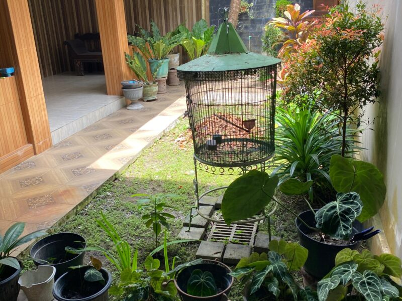 Di Jual Murah Rumah Nyaman Lokasi. utara Jl Damai Sinduharjo Ngaglik Sleman Jogja