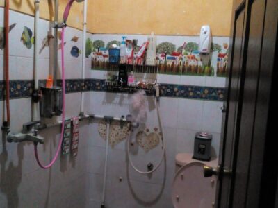 Jual Murah Turun Harga Rumah Hunian Dalam Perumahan Lokasi Strategis di Area Jl Banteng Sleman Jogja