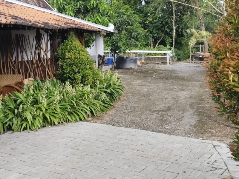 Di Jual Dekat Sleman City Hall Tanah Pekarangan Bonus Bangunan Limasan Resto Lokasi Tridadi Sleman Jogjakarta