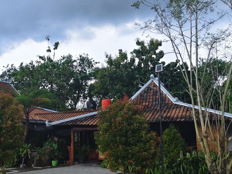 Di Jual Dekat Sleman City Hall Tanah Pekarangan Bonus Bangunan Limasan Resto Lokasi Tridadi Sleman Jogjakarta