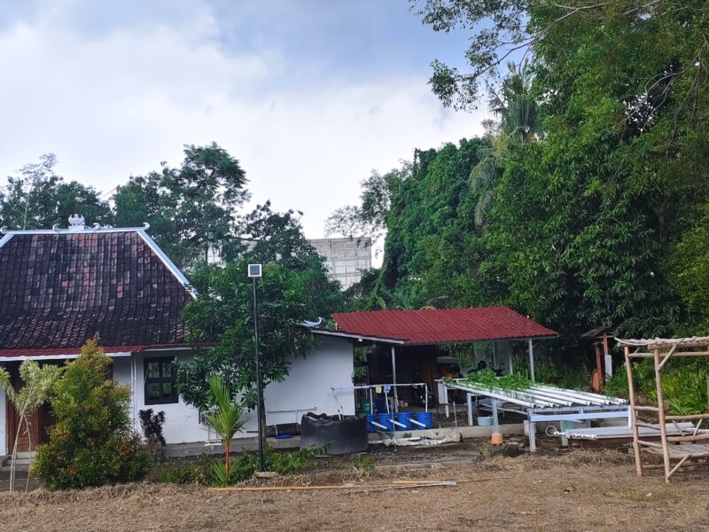 Di Jual Dekat Sleman City Hall Tanah Pekarangan Bonus Bangunan Limasan Resto Lokasi Tridadi Sleman Jogjakarta