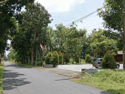 Di Jual Dekat Sleman City Hall Tanah Pekarangan Bonus Bangunan Limasan Resto Lokasi Tridadi Sleman Jogjakarta