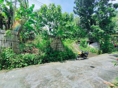 Di Jual Murah Tanah Dekat Jl Raya Bibis Bangunjiwo Bantul Jogjakarta