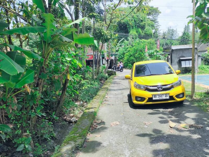 Di Jual Murah Tanah Dekat Jl Raya Bibis Bangunjiwo Bantul Jogjakarta