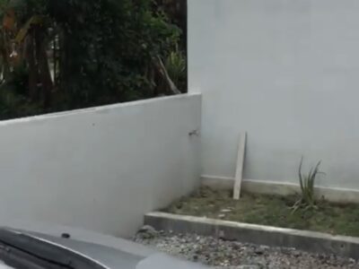 Di Jual Rumah Nyaman Lokasi Sumberharjo Prambanan Sleman , Jogjakarta