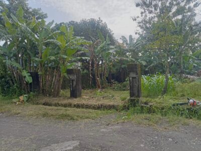 Di Jual Murah Tanah Pekarangan Asri Dengan Pemandangan Hijau Lokasi JL Kaliurang KM 9 Ngondangan Sardonoharjo Ngaglik Sleman , Jogja